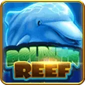 Reef